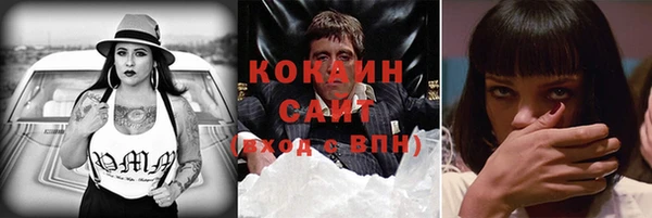 твердый Алексин