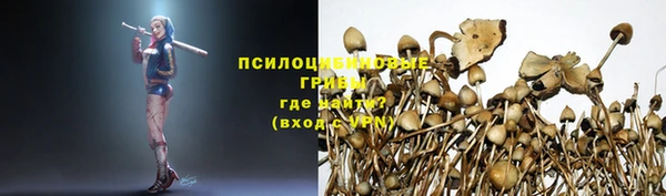 твердый Алексин