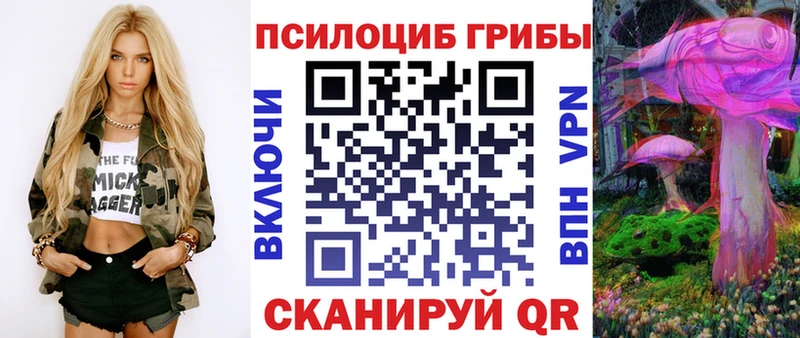 где купить наркоту  Арамиль  Псилоцибиновые грибы прущие грибы 